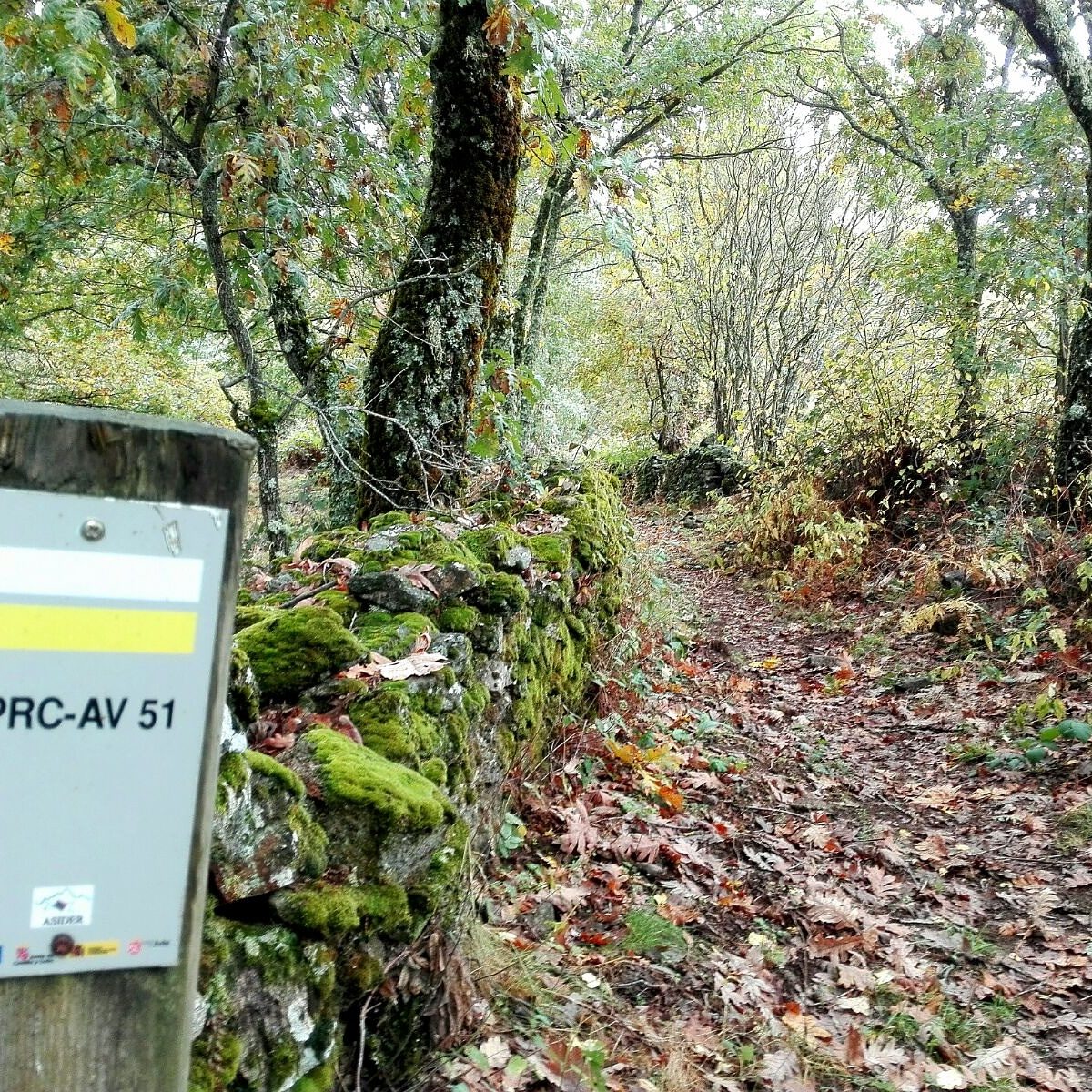 Ruta del Alto Aravalle